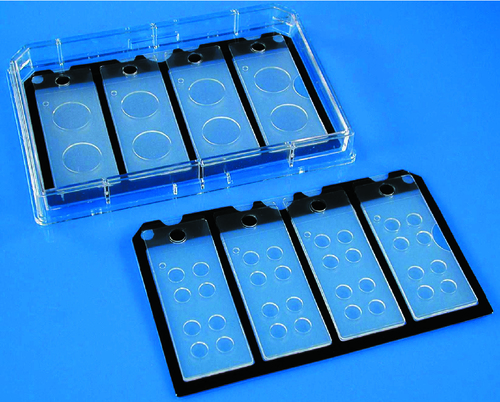 SecureSlip™ Cell Culture Coverglass, Electron Microscopy Sciences