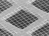 Quantifoil® SiO₂ Holey Carbon Films on Grids