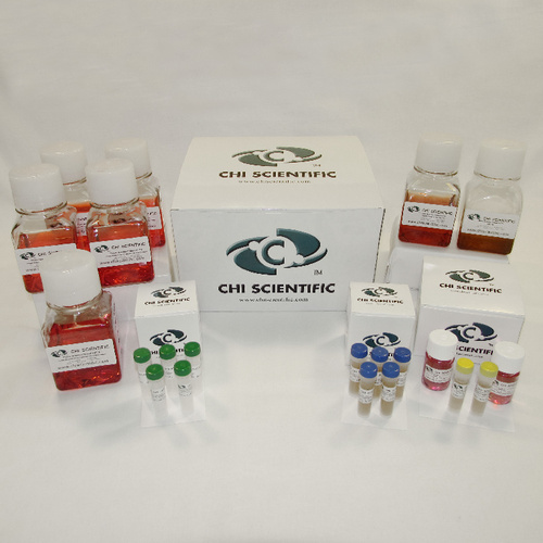 PrimaCell* Liver Hepatocytes kit