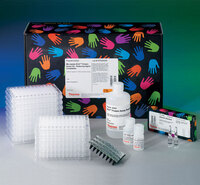 Pierce™ BCA™ Protein Assays, Reducing Agent Compatible, Thermo Scientific