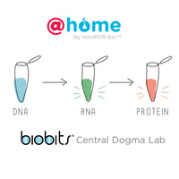 miniPCR® BioBits® @home Central Dogma