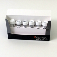 LONGAMP® Taq PCR Kit, New England Biolabs