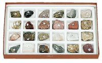 General Collection of Rocks and Minerals