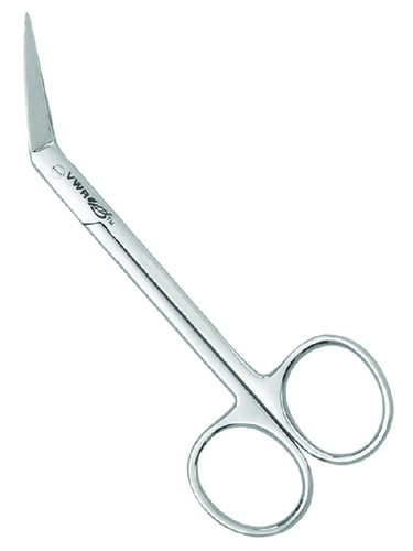 VWR* Dissecting Scissors, 41/2 inch
