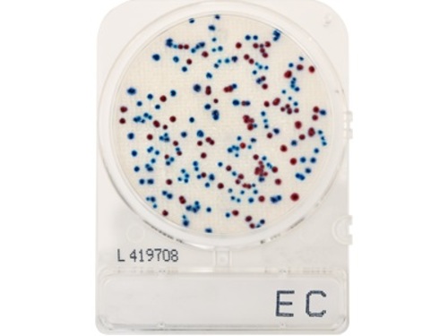 Compact Dry E. Coli (EC), 240 Plates per Pack, ready-to-use test method, for determination of total aerobic bacterial counts, contains two kinds of chromogenic enzyme substrates: Magenta-Gal & X-Gluc, E. Coli forms blue colonies, coliforms turn red, and sum of both will be total coliform group count