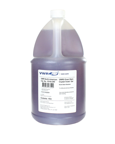Gram Stain Crystal Violet Solution. This stain is used to stain Gram positive bacteria purple, gallon size.