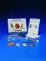 Fossilworks Eyewitness Kit
