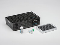 Nucleofector® SE Cell Line 96-well Kit