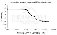 Human Recombinant gACRP-30 (from E. coli)