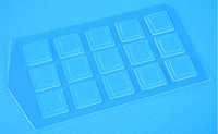 SecureSlip™ Cell Culture Coverglass, Electron Microscopy Sciences