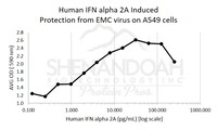 Human Recombinant IFNalpha 2a (from E. coli)