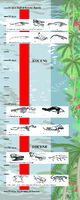 Evolution of Whales Kit