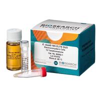 OverExpress™ Competent Cells for Protein Expression, Biosearch Technologies