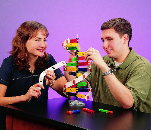 KIT DNA MOLECULE CONSTRUCTION