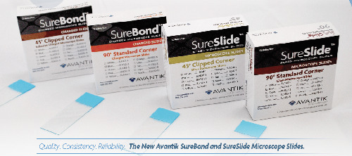 SureBond™ Charged Microscope Slides, Avantik