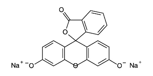Fluorescein disodium salt hydrate