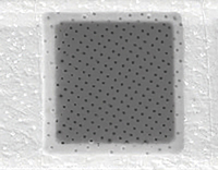 QUANTIFOIL® R 1 Holey Carbon Films on Grids