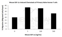 Mouse Recombinant SDF-1alpha / CXCL12 (from E. coli)