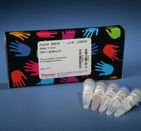 Pierce™ Biotin 3' End DNA Labeling Kit, Thermo Scientific