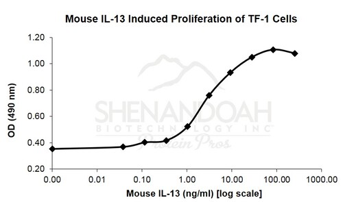 Mouse Recombinant IL-13 (from <i>E. coli</i>)
