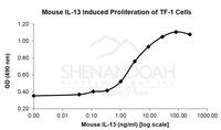 Mouse Recombinant IL-13 (from E. coli)