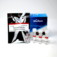 Mix-n-Stain™ CF® Dye Small Ligand Labeling Kits, Biotium
