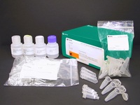 illustra™ GFX™ PCR DNA and Gel Band Purification Kits