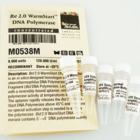 Bst 2.0 WARMSTART® DNA Polymerase, New England Biolabs