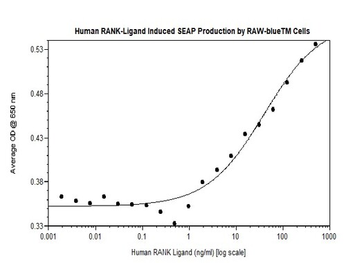 Human Recombinant RANK Ligand (soluble) (from <i>E. coli</i>)