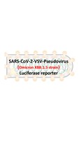 VSV-Pseudovirus_SARS-CoV-2 Omicron XBB.1.5 Strain Spike with Luciferase Reporter