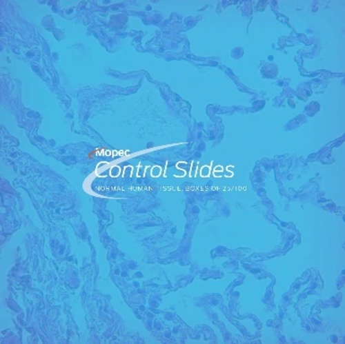 Control Slides, Normal Human Tissue, Small Intestine, Ileum