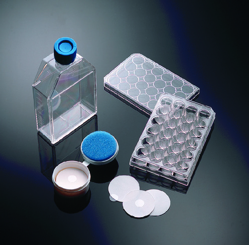 BioCoat* Poly-D-Lysine Microplate, with Lid