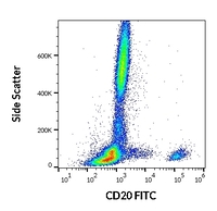 Anti-CD20 Mouse Monoclonal Antibody [Clone: LT20] (FITC (Fluorescein Isothiocyanate))