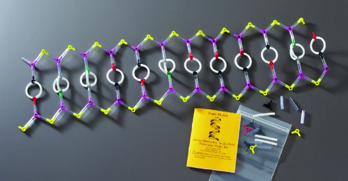 MODEL DNA SUPER KIT