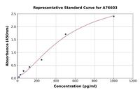 Human GDF11 ELISA Kit