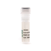 Nanodisc MSP2N2 POPC