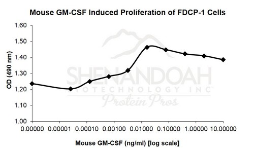 Mouse Recombinant GM-CSF (from <i>E. coli</i>)
