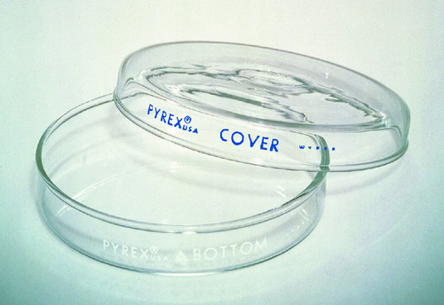 Petri Dish Cover
