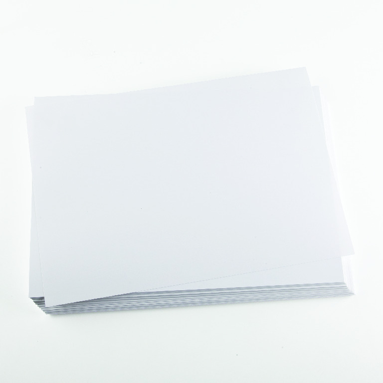 Herbarium Mounting Paper Specimen Mounting Supplies