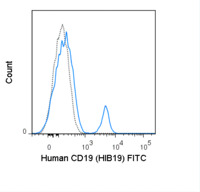 Anti-CD19 Mouse Monoclonal Antibody (FITC (Fluorescein Isothiocyanate)) [clone: HIB19]