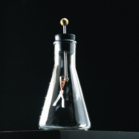 Flask Form Electroscope