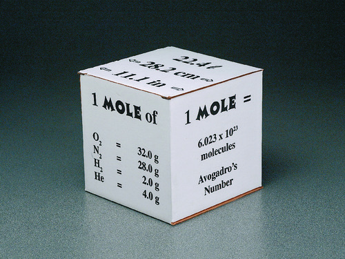 BOX MOLE