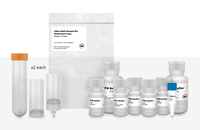 I-Blue Midi Plasmid Kits (Endotoxin Free), IBI Scientific