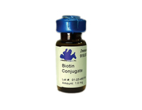 Anti-IgG Donkey Polyclonal Antibody (Biotin (NHS-LC))