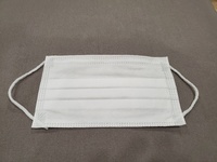 VWR® Cleanroom Mask with Earloops, Made in USA