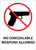 ZING Green Safety Concealed Carry Sign, S Carolina