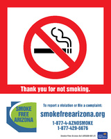 ZING Green Safety No Smoking Sign, Arizona