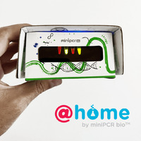 miniPCR® P51™ Fluorescence Viewer @home: STEM Explorations That GLOW!