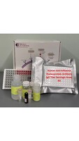 Human anti-seasonal flu B nucleoprotein kit victoria