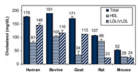 EnzyChrom™ HDL/LDL Assay Kit, BioAssay Systems